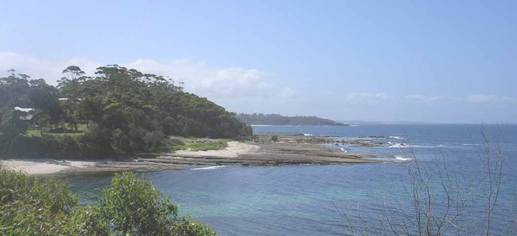 peter dalmazzo environmental consultant shoalhaven dune foreshore